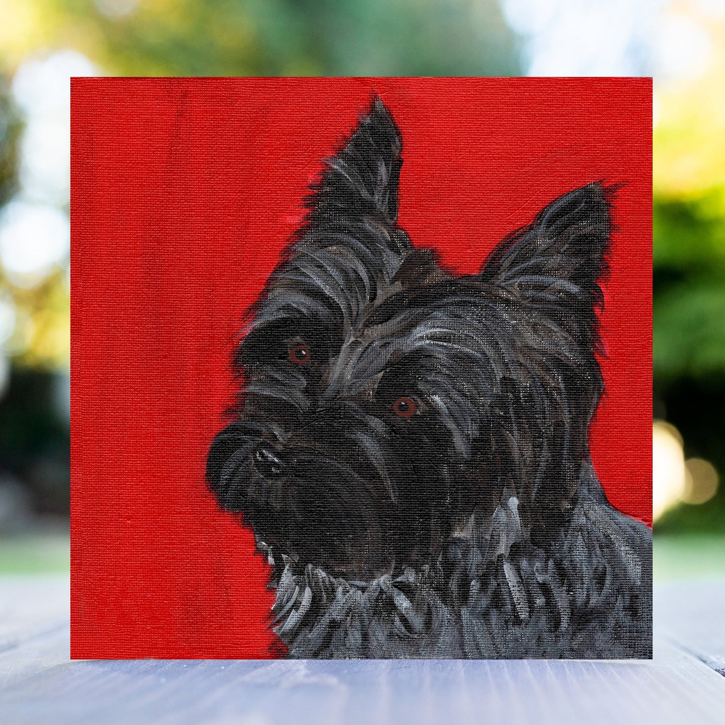 Mixed Box of Doggy Greeting Cards