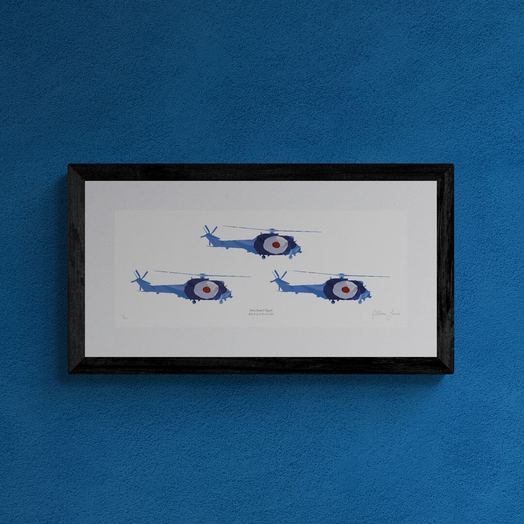 Puma Farewell Flypast Limited Edition Print