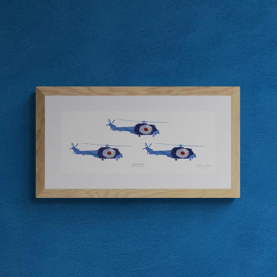 Puma Farewell Flypast Limited Edition Print