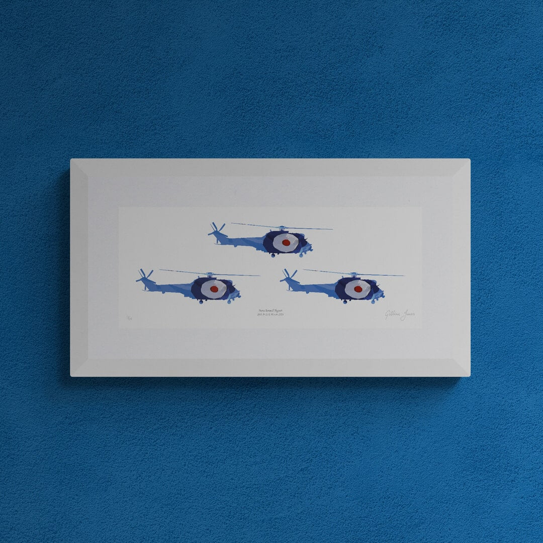 Puma Farewell Flypast Limited Edition Print