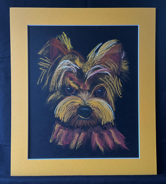 Grumpy Pup Pastel Drawing