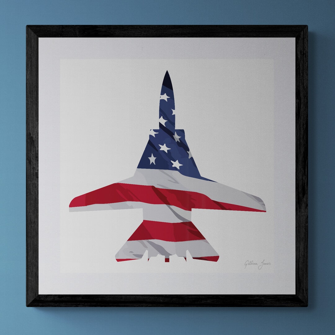 F-14 Tomcat US Flag Print