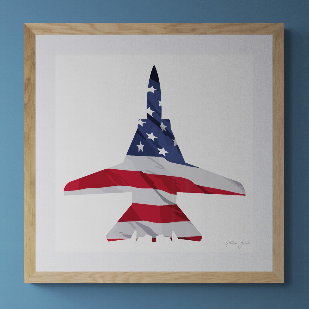 F-14 Tomcat US Flag Print