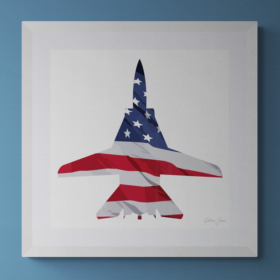 F-14 Tomcat US Flag Print