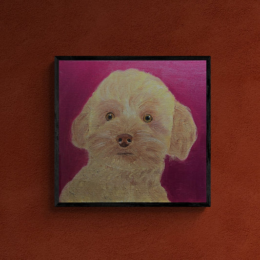 Daft Poodle Oil Painting