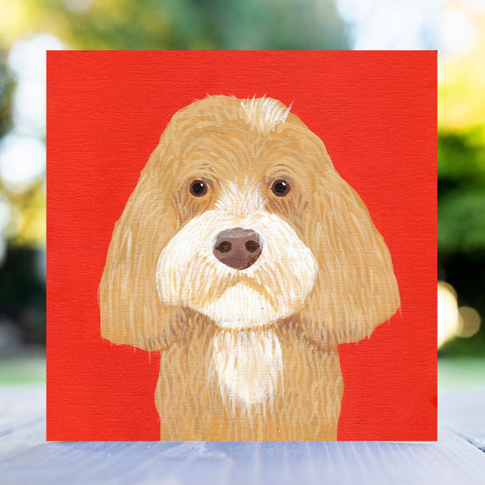 Rupert the ChiPoo(!) Greeting Card