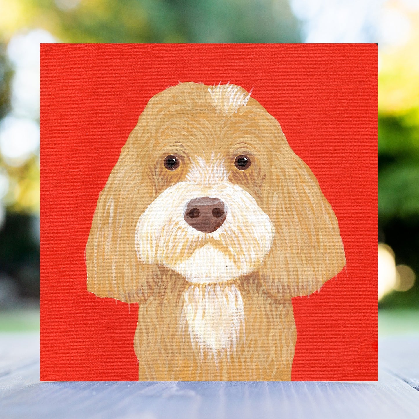 Mixed Box of Doggy Greeting Cards
