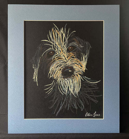 Bad Hair Day Pup Pastel Drawing