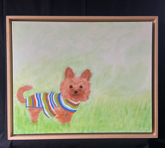 Monty the Yorkie Oil Painting