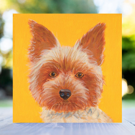 Yorkshire Terrier Greeting Card
