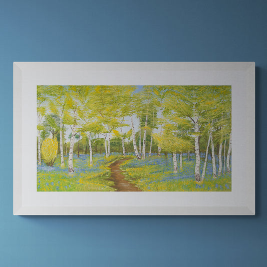 "Bluebells among the silver birches" fine art print
