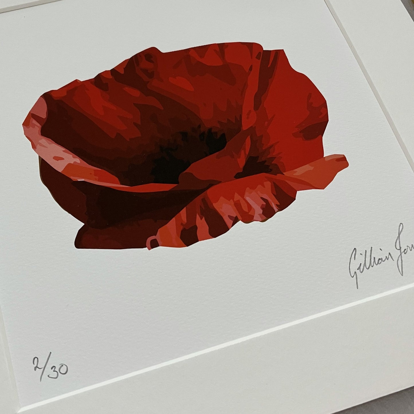 Poppy 2022 Limited Edition Print