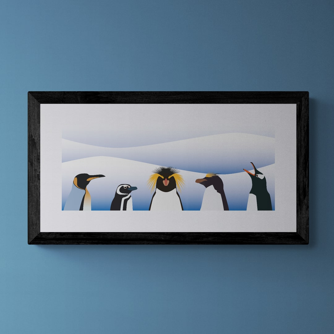 The Penguins of the Falkland Islands Print