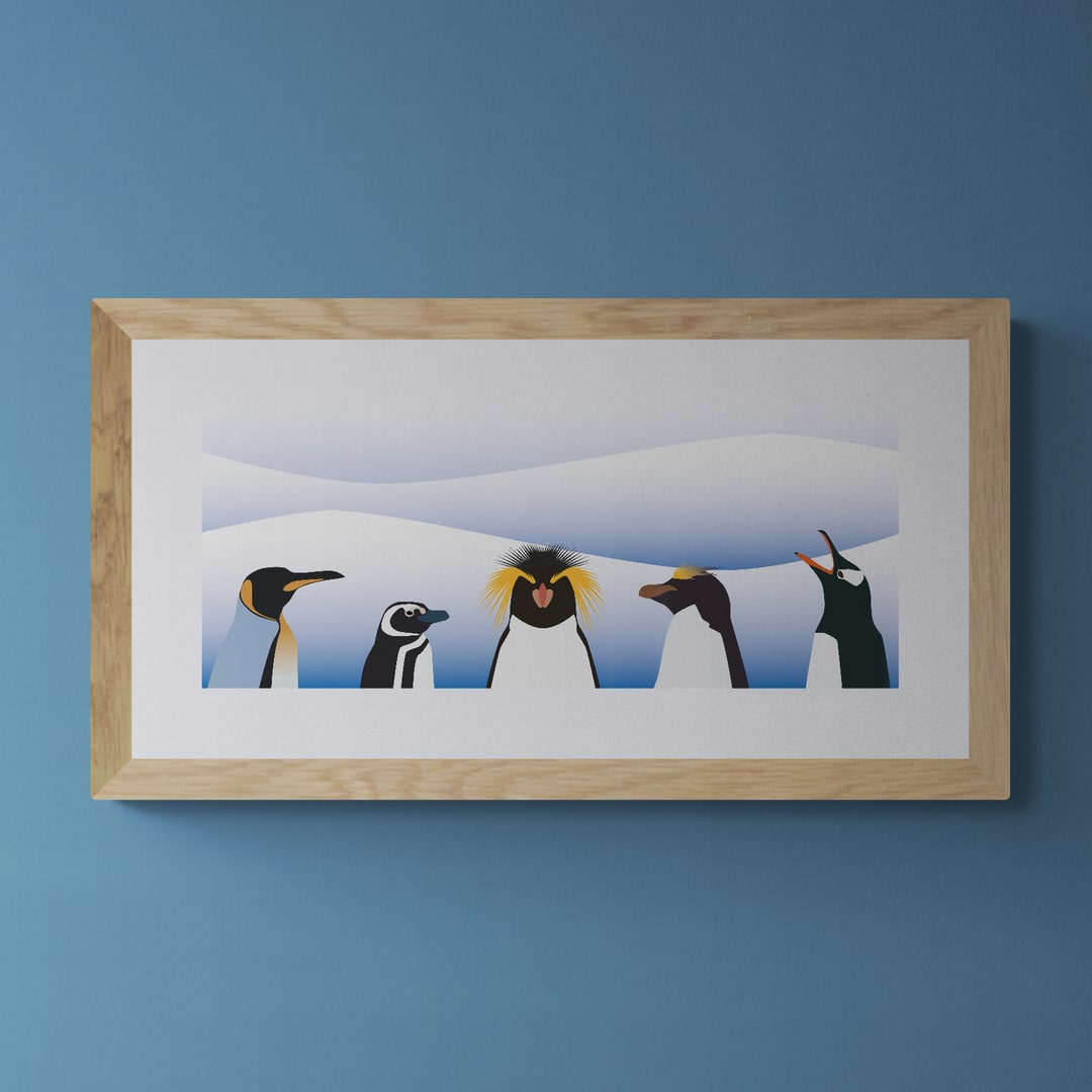 The Penguins of the Falkland Islands Print