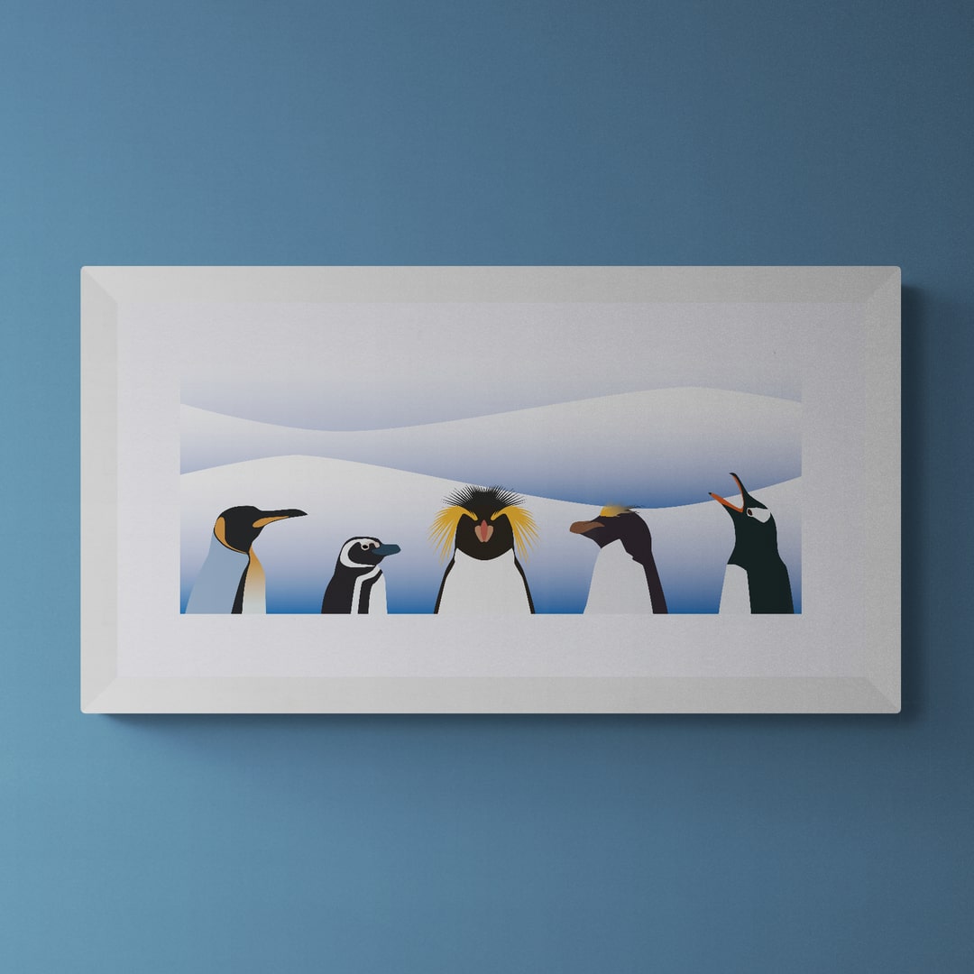 The Penguins of the Falkland Islands Print