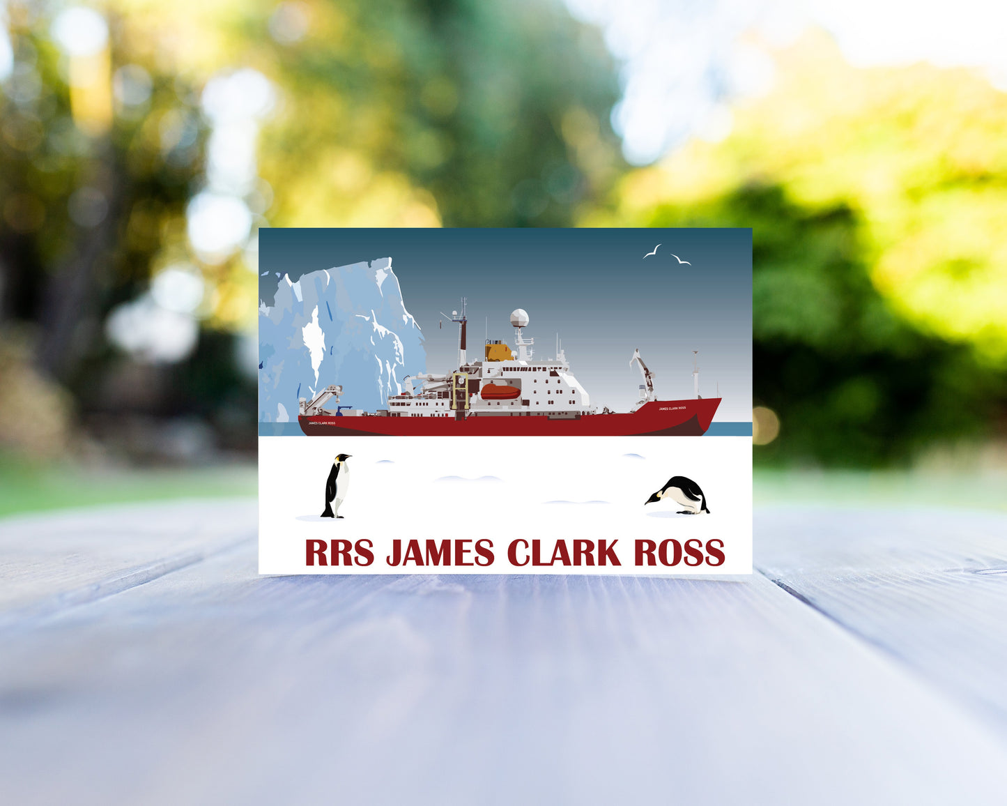 RSS James Clark Ross Greeting Card